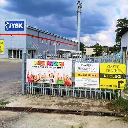 & Zloty Feniks